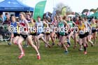 Junior women, 2016 National Cross Cpuntry Relays, Berry Hill Park, Mansfield. Photo: David T. Hewitson/Sports for All Pics